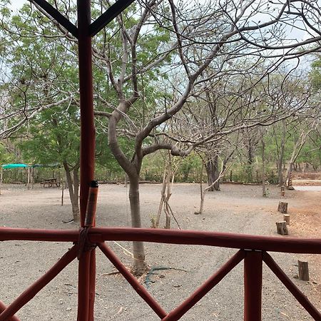 Nieves Surf Hostel And Camping プラヤ・アベヤナ エクステリア 写真