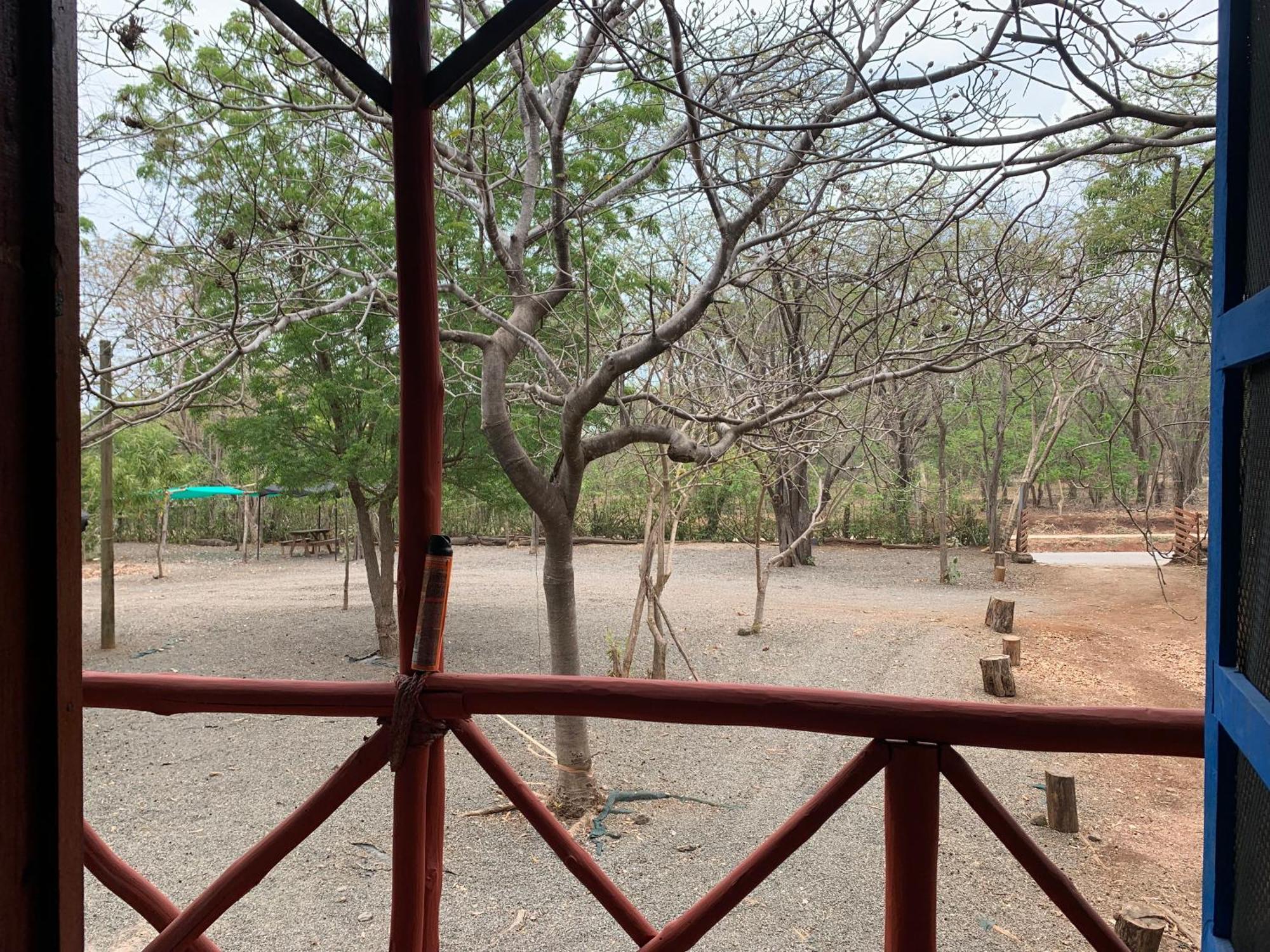 Nieves Surf Hostel And Camping プラヤ・アベヤナ エクステリア 写真