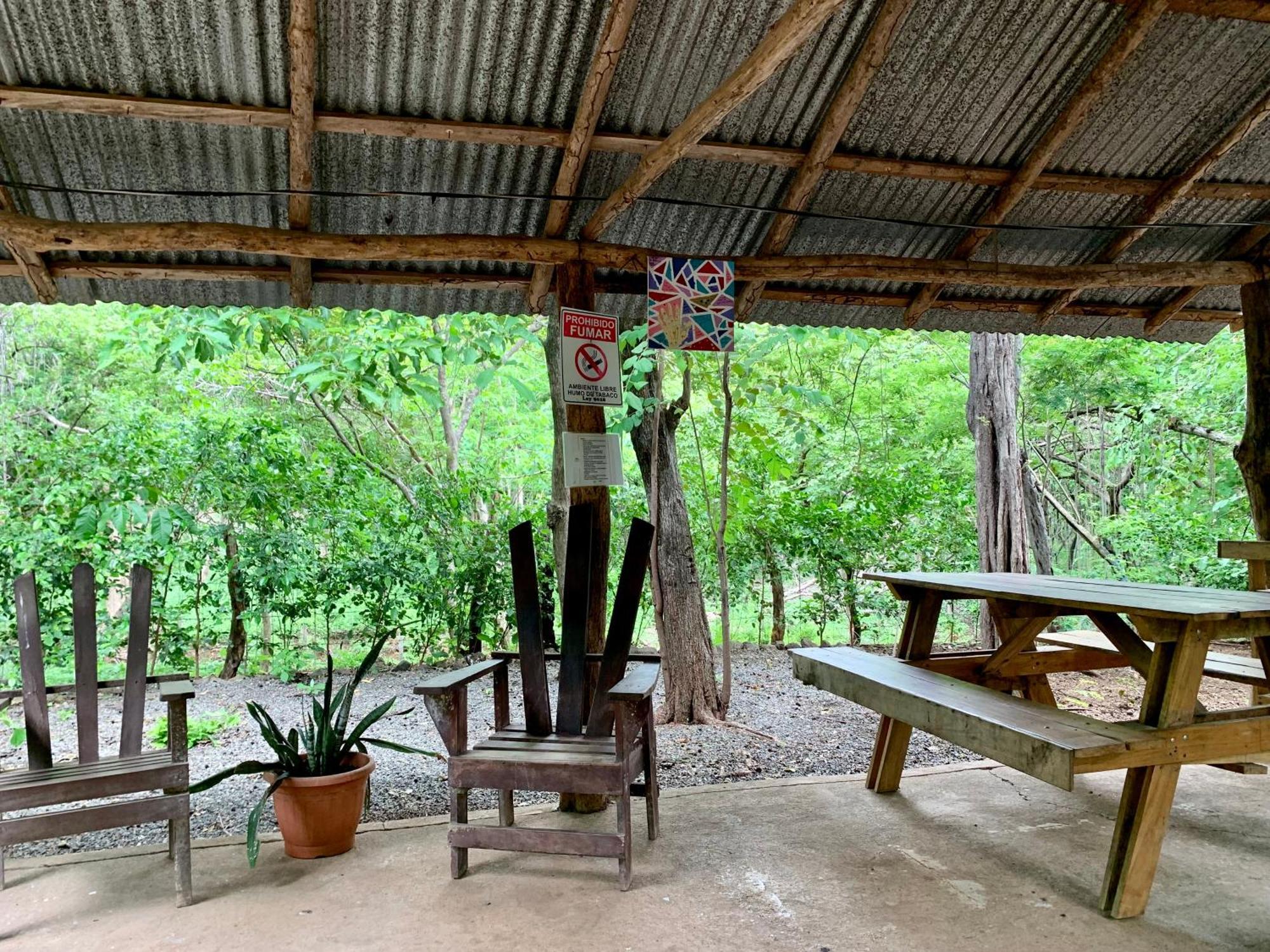 Nieves Surf Hostel And Camping プラヤ・アベヤナ エクステリア 写真