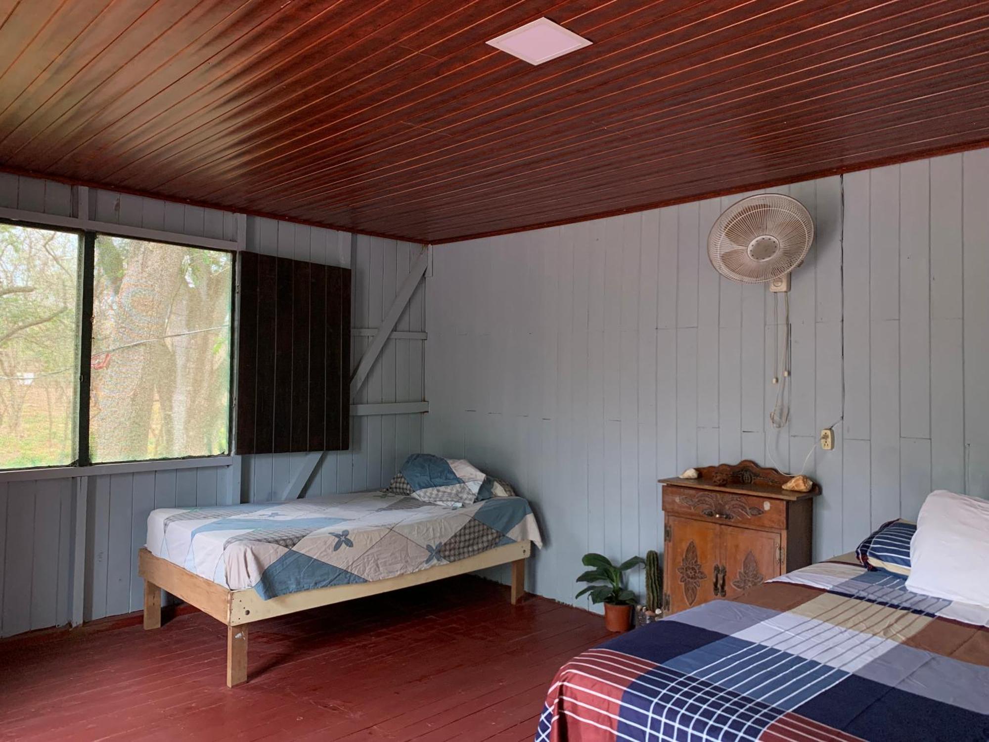 Nieves Surf Hostel And Camping プラヤ・アベヤナ エクステリア 写真